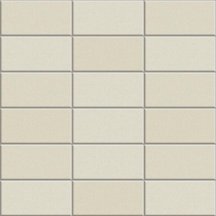 Appiani Anthologhia Mos 2025 Flos 30x30
