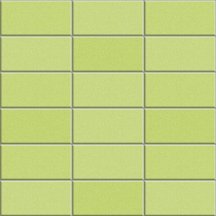 Appiani Anthologhia Mos 2028 Gladiolo 30x30