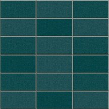 Appiani Anthologhia Mos 2033 Aralia 30x30