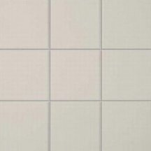 Appiani Anthologhia Mos 9025 Flos 30x30