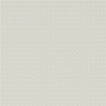 Appiani Pastelli Osso 1.2x1.2 30x30
