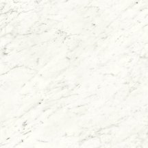 Ariostea Marmi Classici Bianco Carrara Lucidato 60x60