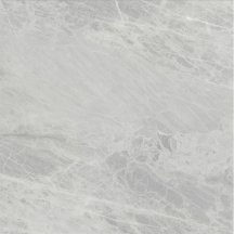 Ariostea Marmi Classici Gris De Savoie Lucidato 60x60