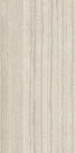 Ariostea Marmi Classici Travertino Silver Preluc 60x120