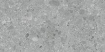 Art And Natura Ceppo Di Gre Gris Sand Coloured Body 60x120