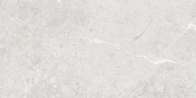 Art And Natura Una Pietra Silver Glossy 60x120