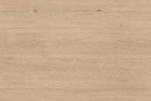 Artcer 1Xl Teal Almond 120x180