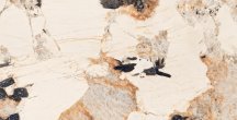 Artcer Marble Patagonia Gold 60x120