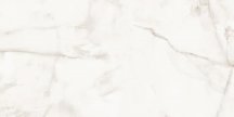 Artcer Onix Silk Grey 60x120