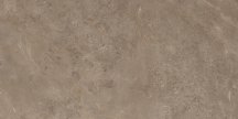 Artcer Stone Luish Brown 60x120