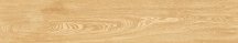 Artcer Wood Parma Honey Mate 20x120