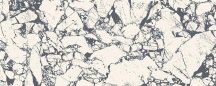 Arte Senza Vein 29.8x74.8