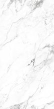 Artecera Calacatta Classic Rectificado 60x120