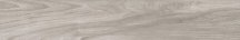 Artistica Due Naturalia Pioppo 15x90