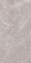 Ascale Armani Silver Polished Mix 160x320