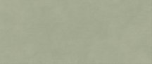 Atlas Concorde Boost Expression Olive 50x120