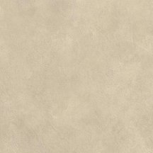 Atlas Concorde Boost Expression Tan 60x60
