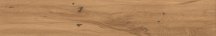 Atlas Concorde Log Amber Oak Forest 20x120