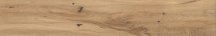Atlas Concorde Log Icon Oak Forest 20x120