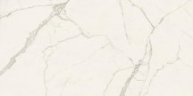 Atlas Concorde Marvel Calacatta Extra Bookmatch A Lap 120x278