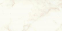 Atlas Concorde Marvel Shine Calacatta Delicato Silk 30x60