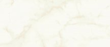 Atlas Concorde Marvel Shine Calacatta Delicato Silk 50x120