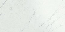 Atlas Concorde Marvel Stone Carrara Pure Lappato 60x120
