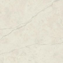 Atlas Concorde Marvel X Calacatta Perla Silk 120x120