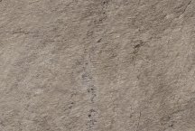 Atlas Concorde Norde Piombo 20 mm 60x90