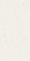 Atlas Concorde Plan Bianco Dolomite Polished 12 mm 162x324