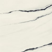 Atlas Concorde Russia Forte Dei Marmi Panda White Rett 80x80