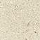 Atlas Concorde Russia Wise Ice Mist Bottone 7.2x7.2