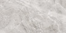 Axima Delhi Серая 60x120