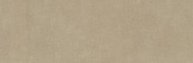 Baldocer Elan Taupe 33.3x100