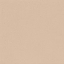 Bardelli Pittorica 8M 25x25
