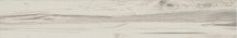Basconi Home Wood Poplar Matt Struct 20x120