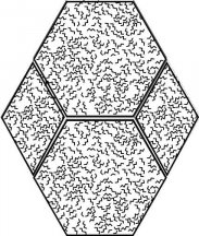 Bassanesi Rocket Diamond Trama Spectre 64x74