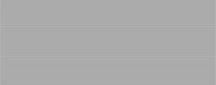 Bassanesi Shades Dark Grey 31.2x79.7