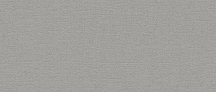 Bassanesi Silk Light Grey 25.4x60.8