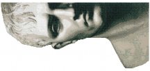 Bisazza Decori 10 Bonaparte Wall 130x290.5