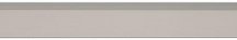 Butech Pro Telo Perfil Recto Aluminio Anodized Plata 0.8x250