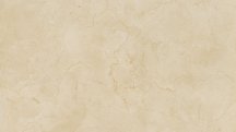 Caesar Anima Marfil Lucidato 119.5x278