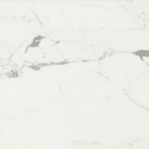 Caesar Anima Statuario Rt 60x60