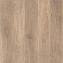 Caesar Cocoon Ease 20 mm 60x60
