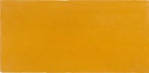 Carodeco Les Plinthes Safran 25 10x20