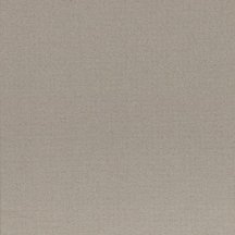 Casalgrande Padana Earth Grigio2 60x60