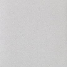 Casalgrande Padana Granito Evo Boston 14 mm 60x60