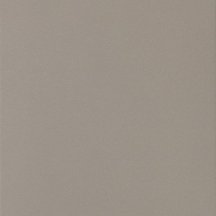 Casalgrande Padana Granito Evo Seattle 45x45