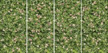 Casalgrande Padana Limpha Coral Rose 120x240