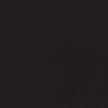 Casalgrande Padana Unicolore Nero Antibacterial 40x40